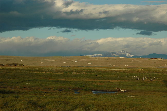 ニメス湖は鳥たちの楽園でした。