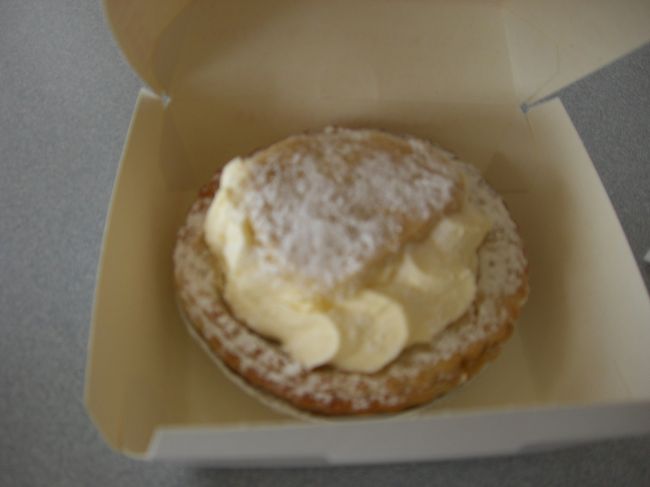 6日目は楽しみにしていたビーチトレッカーです。<br />お迎えの車が宿まで来てくれました。<br />日本語の上手なオージーの社長が運転手、<br />ガイドのお姉さんはワーホリ中の日本人の方でした。<br /><br />道中有名なパイのお店「YatalaPies」に寄って<br />お姉さんお勧めのアップルパイとタイカレーパイをみんなで分けっこ。