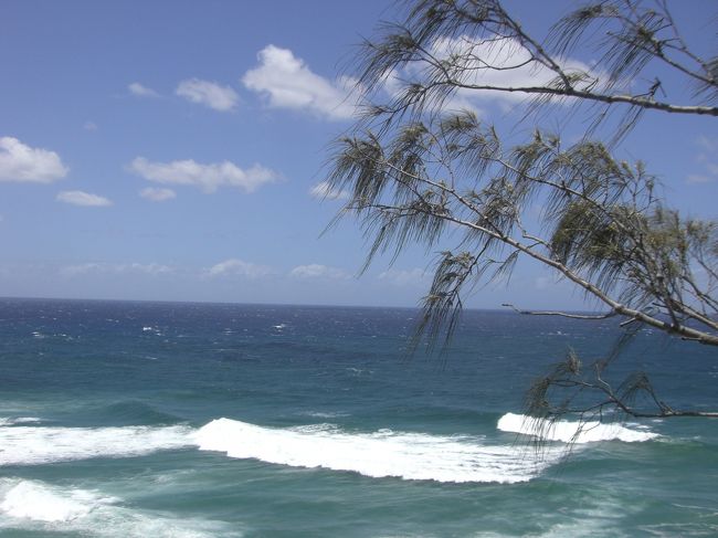 ビーチは風がきつく砂が体に当たると痛かったです。<br />その風のせいで砂がカメラに入りおばのデジカメが動かなくなりました。<br />わたしのもちょっとやばかったです。<br />ふってたたいてなんとか砂を取り除いて動くようにはなりました。