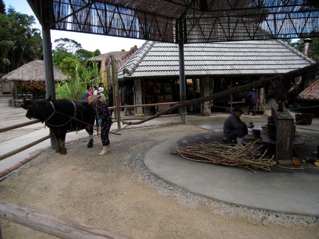 砂糖車<br />水牛さんがぐるぐる回っています。<br />これでサトウキビを絞って黒砂糖を作るようです。<br />昭和初期まで、このように牛や馬に砂糖車を引かせてつくっていたようです。