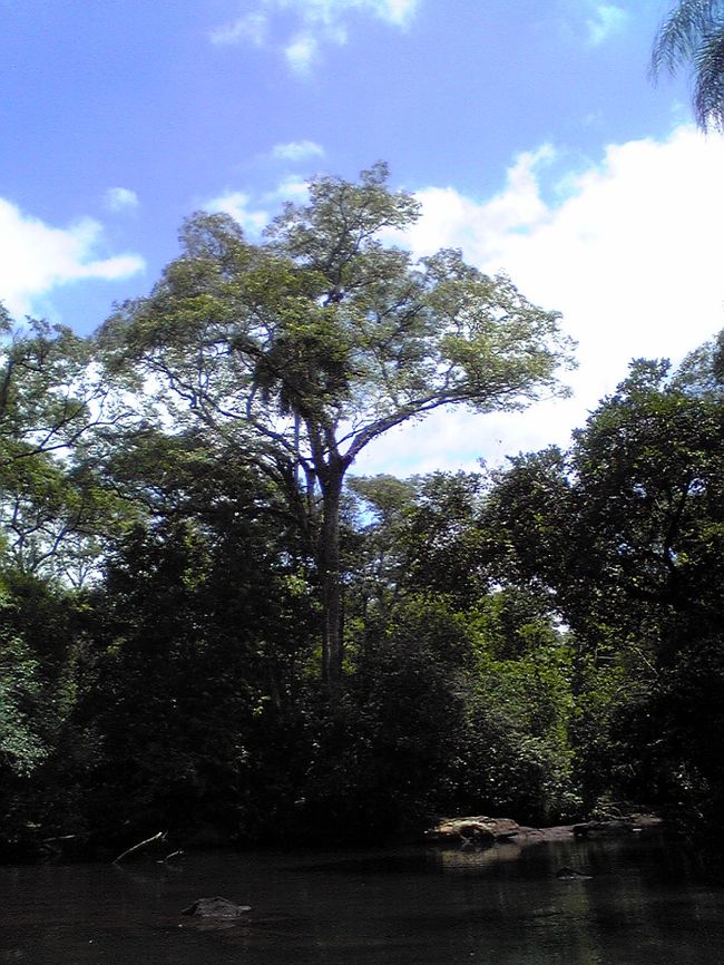 晴れ間も出てきて、水の上、気持ち良いです。<br /><br />