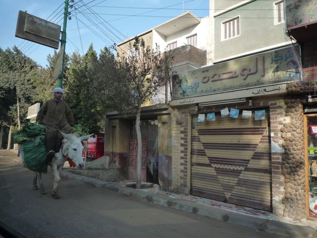 ホテルのコンシェルジュで、プライベートの観光ツアーを手配してもらい、いざ出発。費用は、利用する車種やどこに行くのかにより異なるのですが、7-8時間くらいのツアーで、トヨタのカローラクラスで2名でUSD300近くでした。立ち寄る場所は、当日ガイドさんと相談して臨機応変に組み立てることができました。結局、メンフィス、サッカラ、そしてギザのピラミッドを回る内容に決定。<br />車からカイロ郊外の街並を眺めていると、ロバや牛がかなり活躍していることがわかりました。