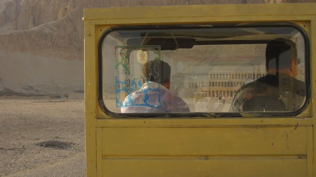 ここでもカートに乗って近くまで行きます！