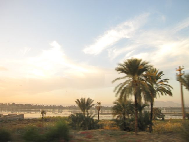 帰りのバスから見た景色。