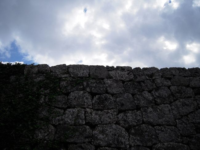 壁のアップ。<br />こんな大きな石をどうやって持ち上げたんでしょう。