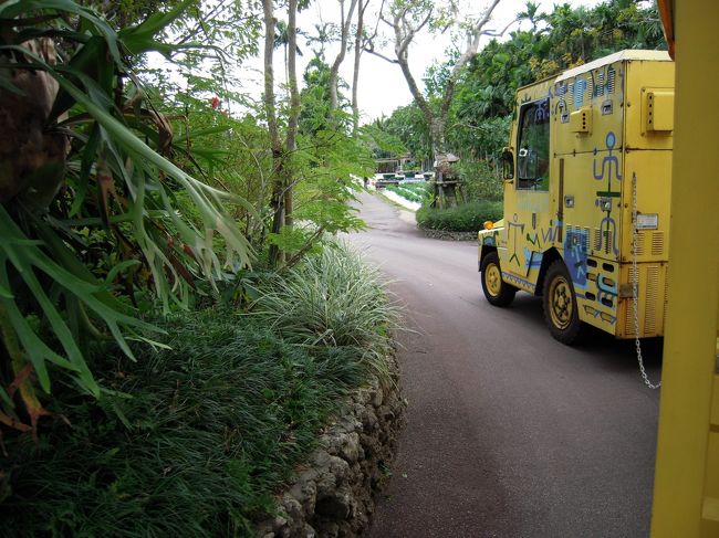 「園内は広いのでこちらに乗って周ったほうがいいですよ。」<br />とスタッフさんに言われたので、それに従い乗車。<br />このトラムカーの乗車料は一人300円です。<br />運転手さんが植物の説明をしながら、園内を一周します。