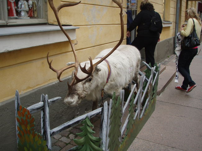 邪魔な感じで角が生えてる…