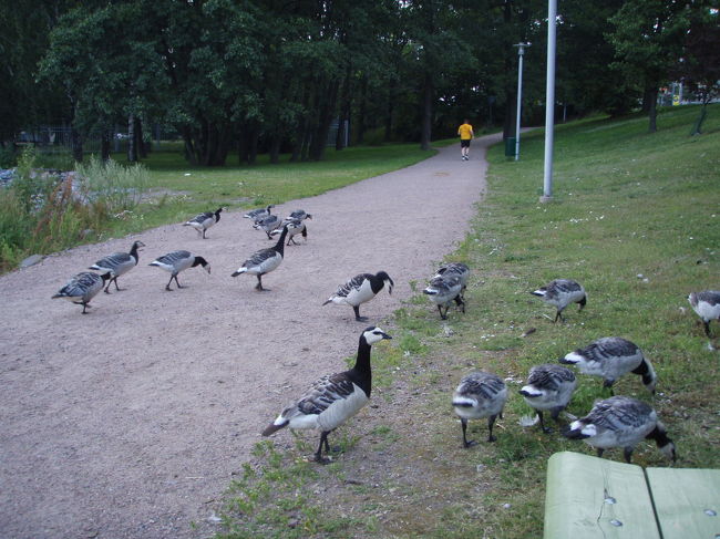 近づくとすごい威嚇してくる…