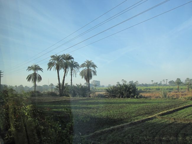 アスワンへ向け、走り出すバス。<br /><br />ずぅーーーっと見渡す限り<br />緑溢れる大地。<br /><br />畑や、ナツメヤシの木が、どこまでも続いている。<br /><br />ずっと続く田園を見ていると、<br />ナイル川のもたらす恵みの大きさを感じさせられる。<br /><br />エジプトにナイル川がなかったら、<br />文明も栄えなかっただろう。<br /><br />エジプトの宝だなあ。<br /><br />