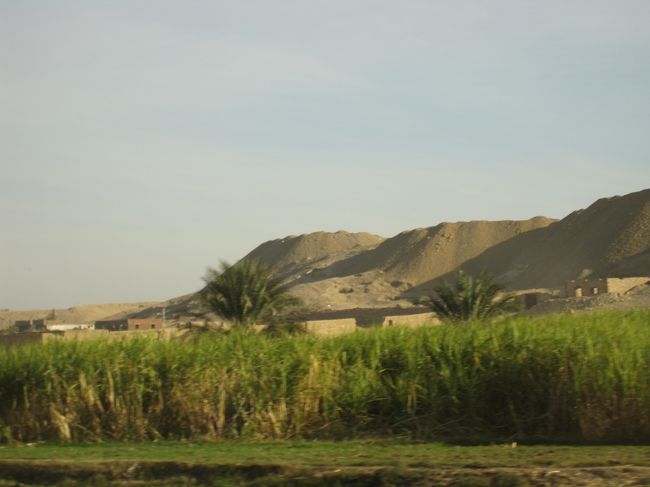 少しだが、緑のある地帯も。<br /><br />乾いた土地ばかりで大変だなあ。と思っていたので<br />少しほっとする。