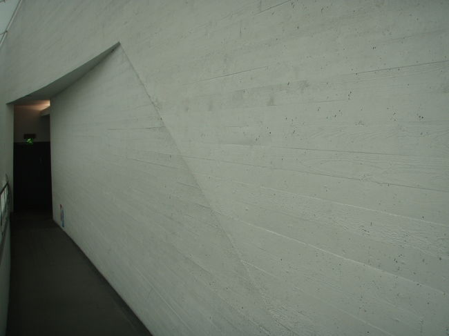 木みたいなコンクリートの壁