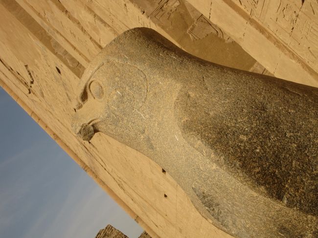 シャキーン！<br />横顔も見てやってー