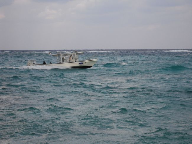 こんな悪天候なのにどこかへ行っちゃいました。