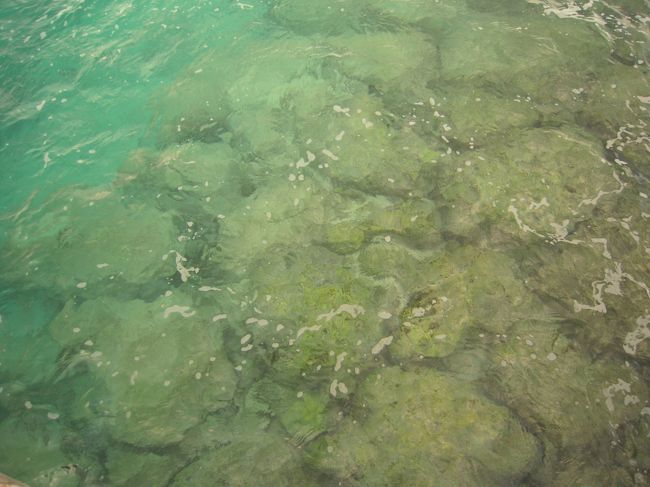 水は綺麗です。