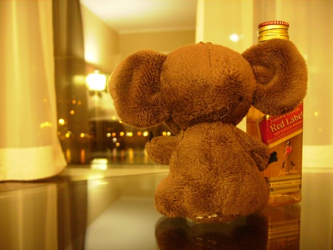 「ドナウの真珠と謳われる夜景をつまみに一杯。」<br />これそ男の背中。