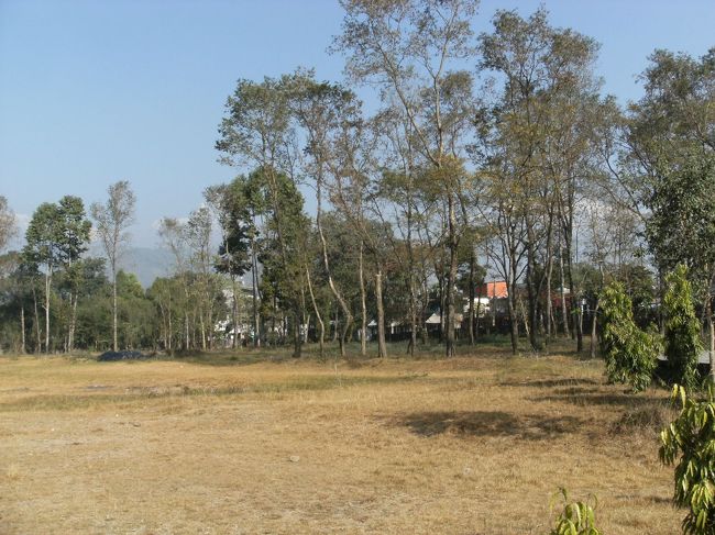 <br />　園内の様子・・