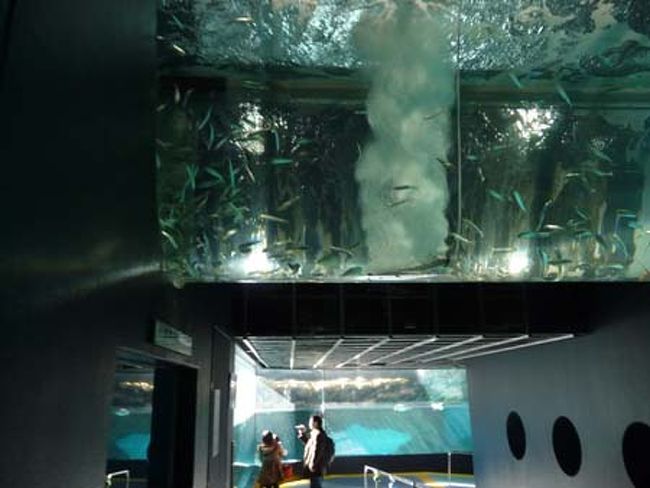 日本でもっとも高い標高にある水族館だそうです。<br />思ったよりも水槽が大きい！