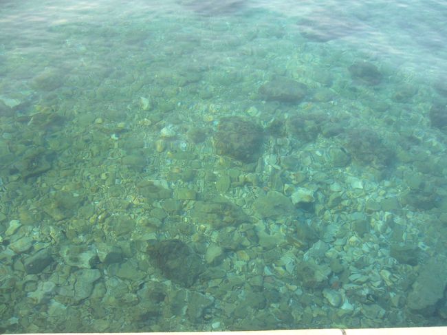 水が透き通っていて綺麗です。