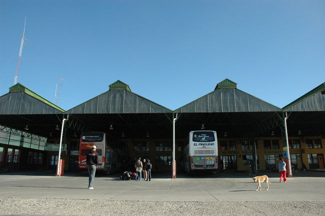 昨日はばたついていて写真が撮れなかったバスターミナル。<br />この犬もたぶん野犬です。