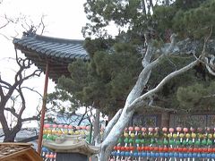 韓国仏教最大の曹渓寺。寒い中でも次から次へと信仰厚い方が訪れてました。