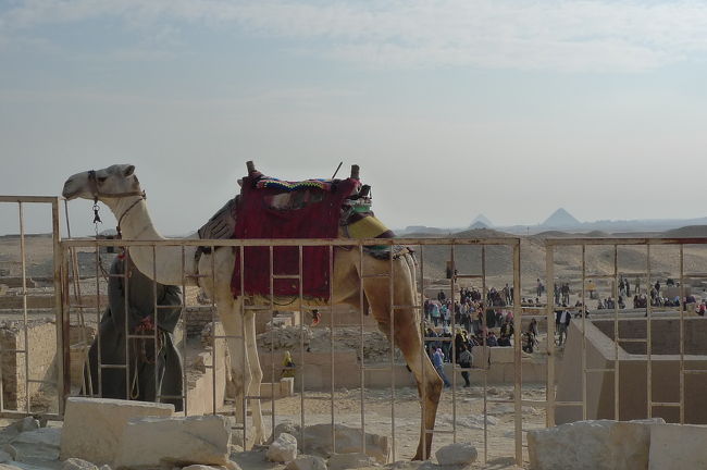 遠くに見てきたピラミッド群が