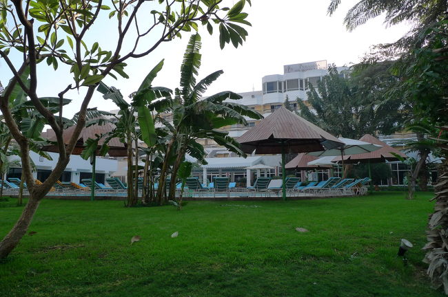 敷地内は緑も多く散歩しても気持ちいい