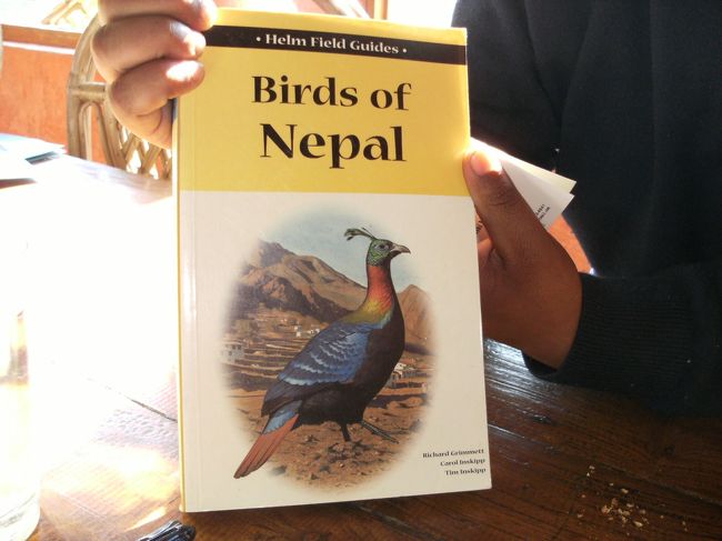 <br />　オーナーの夢は、ヒマラヤだけに棲息する絶滅危惧種の鳥・ニジキリドリのツアーを企画することだという。<br />　ニジキリドリ？どんな鳥なの？と尋ねると、一冊の本を取り出してきて表紙の写真を見せてくれた。<br /><br />　これが”ニジキリドリ”だそうだ！これまでに見た者は現地でも数少ないという貴重なトリである。