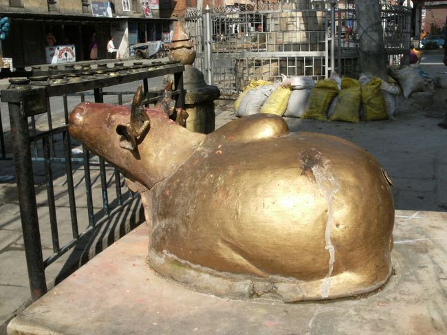 <br />　牛は聖なる生き物だそうで・・