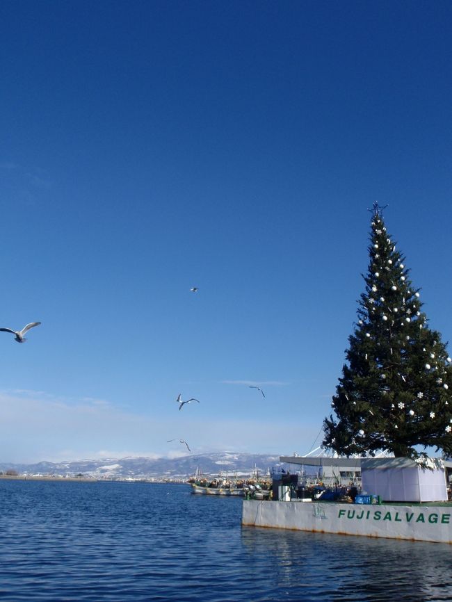 昼間のクリスマスツリーの様子。<br />夜には賑やかになるベイサイドも<br />日中は静かでのんびりしています。<br /><br />このカモメ達はイカを捕まえて食べて（遊んで？）ました。