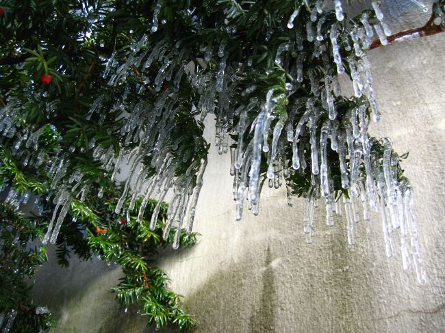 道を歩いてて見つけたすごいツララ