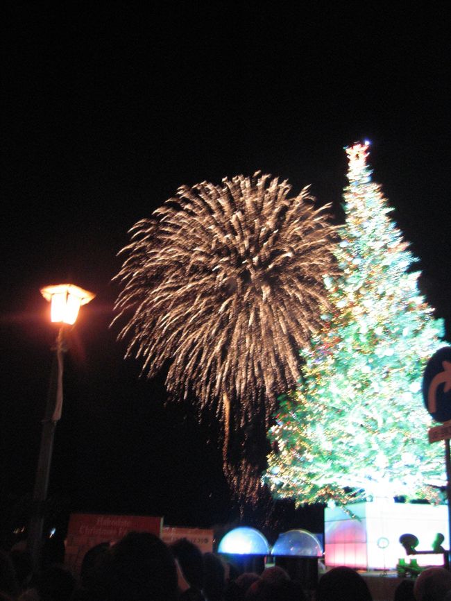 クリスマスツリーの点灯と共に<br />花火が打ち上げられます。<br />クリスマスまで毎日開催されるそうです。