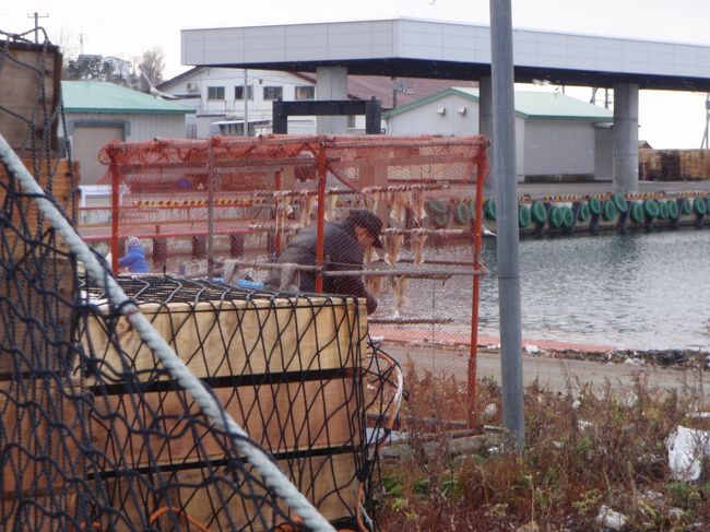 イカを干してたおじいさん。