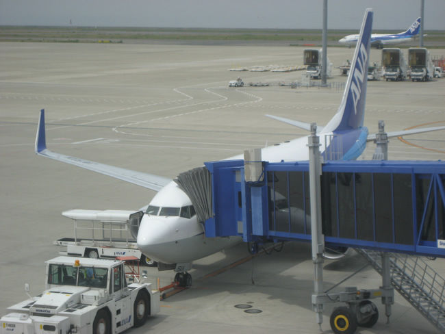 国内線で大活躍の、B737-700で台湾まで。