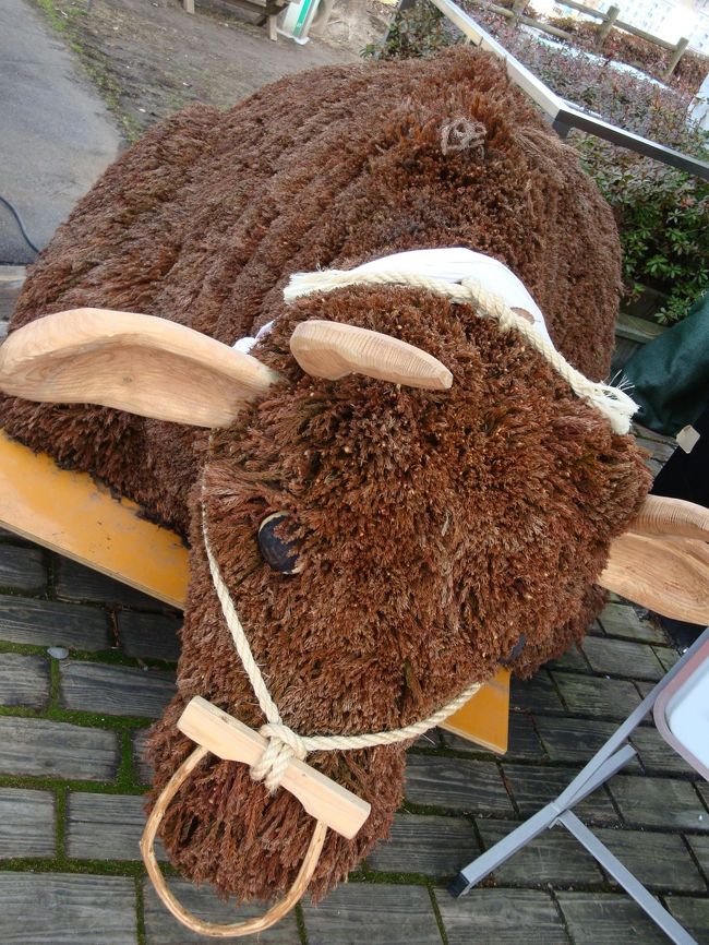 松の木？の葉で作られた牛<br /><br />凄いね〜<br /><br /><br />お土産、お酒のつまみ等を買ってワアワアと、嬉しそう・・・（笑）<br /><br />ここで、色々なプリンを発見し買い食いしたかったけど、温泉でのプリンを楽しみに、買わずじまい・・・<br /><br />代わりに、「ブルーベリージャージーヨーグルトソフトクリーム」を食べる<br /><br />ヨーグルトが美味しかったーー。。<br /><br />もう１件、近場の「道の駅小国」へ<br />観光案内所が２階にあり、ここで、プリン巡りのパンフレット？、プリンを食べましたの台紙を頂く<br />美味しそうな写真のプリンが２０個載っています。。<br />どれを食べようかな。。。。。ワクワクです。。<br />