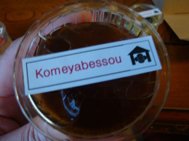 コーヒー牛乳プリン<br /><br /><br /><br />これは、食べていません。。。