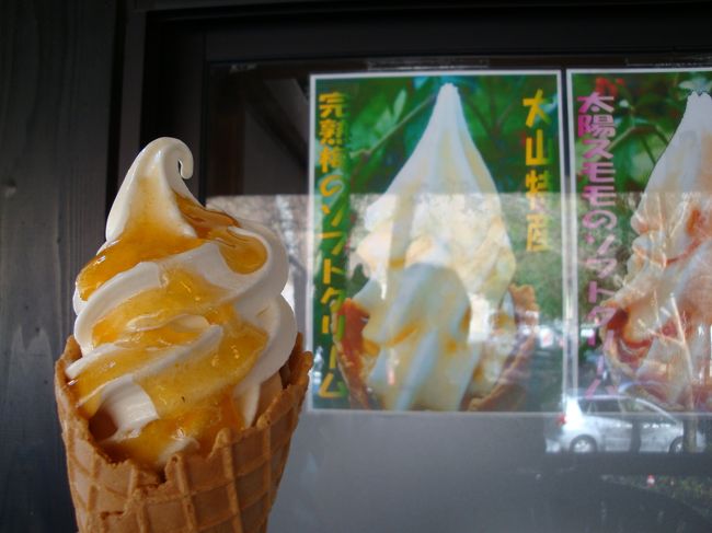 お昼ごはんを食べ、満腹満足で、隣の道の駅？へ<br /><br /><br />また、お土産を購入し、完熟梅のソフトクリームを発見し、買い食べする<br /><br /><br />ここは、大分の大山で、梅の産地なので、やっぱり完熟梅だよねって事で、梅のソフトクリームなんだけど他にも種類あり。。<br /><br /><br />ここで、大型バスが入ってきて観光客が沢山に・・・<br />退散退散。。。<br /><br /><br />このまま、何事もなく帰宅<br />楽しい２日間でした！<br />