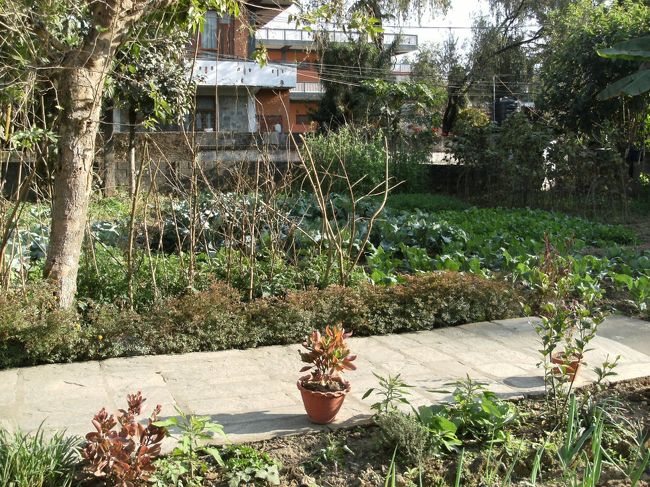 <br />　　レストランの前庭で・・・