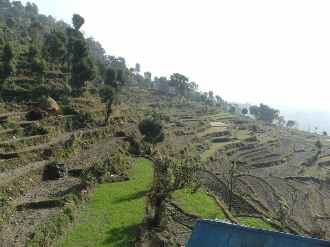 <br />　いよいよアンナプルナの山並みを見るために、日本山妙法寺のある World Peace Pagodaへ行く、<br /><br />　フェワ湖を眼下に見下ろせる小高い丘（標高１１１３ｍ）まで、登山道を４０分ほど歩く。<br /><br />　その途中の段々畑風景・・・　　