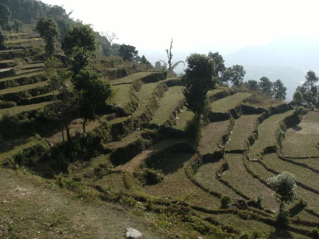 <br />　ここも畑地が少ないので耕作地が上へ上へと開墾されていく・・<br /><br />　