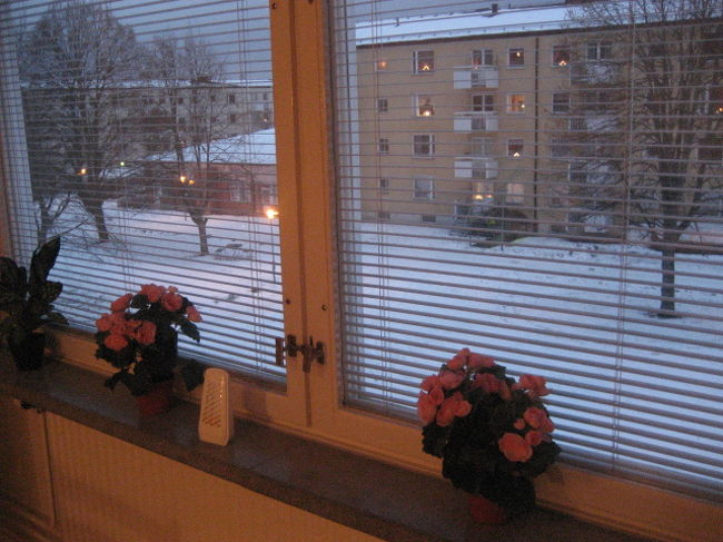 リビングルームから外の景色。まわりは同じようなアパートがたくさん。人があまり歩いていない。