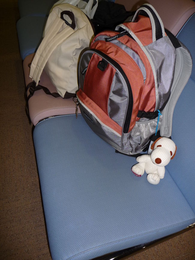 スヌ君も４日間の旅行で、ちょっと疲れたかな？