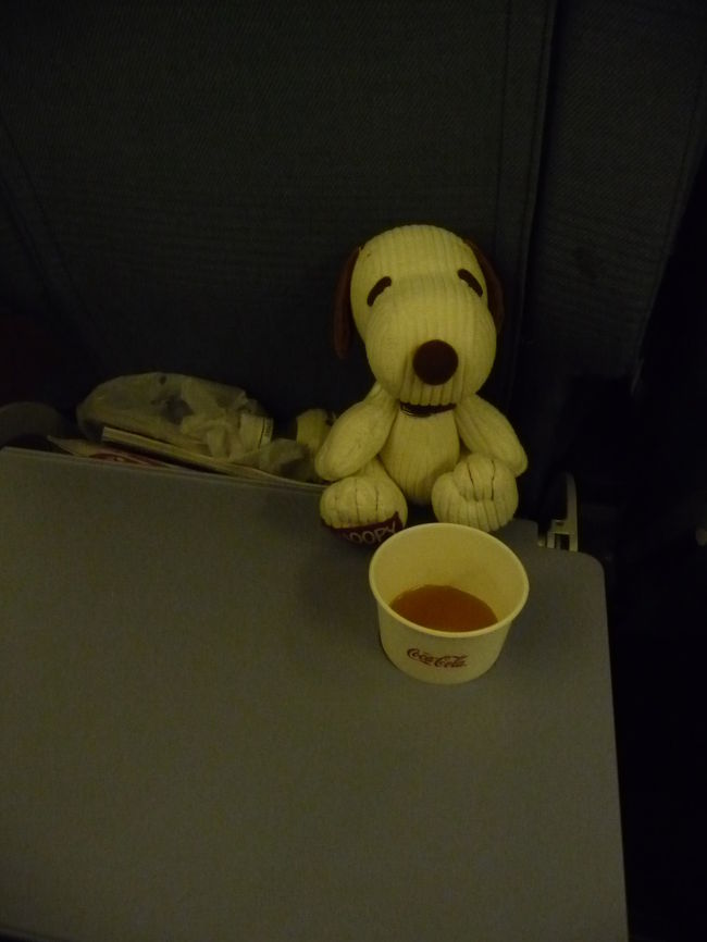 帰りの機内でくつろぐスヌ君。<br /><br />2008年最後の旅行では、佐賀県・熊本県の百選滝を６ヶ所を予定通りに回れたし、友人にも会えたし、とても充実した楽しい旅行となりました。<br />2009年も、いっぱい楽しい旅ができるとイイな...。<br /><br />最後まで見ていただいて、ありがとうございました。<br /><br /><br />"The End"