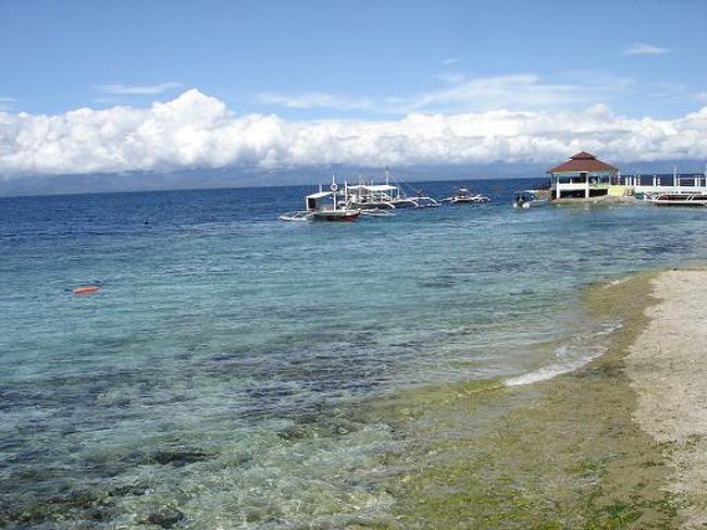 セブの中心セブシティーは意外にも都会だった・・・ <br />セブと言うイメージはビーチがありこじんまりした町に宿やレストランやダイビングショップが乱立している感じだったが、実際は真逆でビーチはなく車が多く空気は汚いしダイビングショップなんて見る影もなかった・・・ <br />一体どこで潜れるの？？？と不安になり調べてみると、セブ島の横のマクタン島やセブの南にあるモアルボアルで潜れることが分かった。。。 <br />マクタン島はセブシティーから近かったがダイビング代が高かったので、バスで2時間半かけてモアルボアルまで行くことにした。。。 <br />モアルボアルはこじんまりした町で宿やレストランやダイビングショップが乱立している正しいセブのイメージの町だった。。。 <br />ただしリゾートしかないので町中に比べると価格はすべて倍はしてた・・・ <br />そこには日本人が経営するダイビングショップもあり潜るのにも言葉の心配も要らなかった。。。 <br />