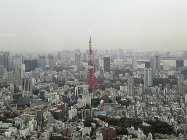 上から見ると、東京−新宿の間は環状線で5キロくらい？ですね。意外と狭い。。