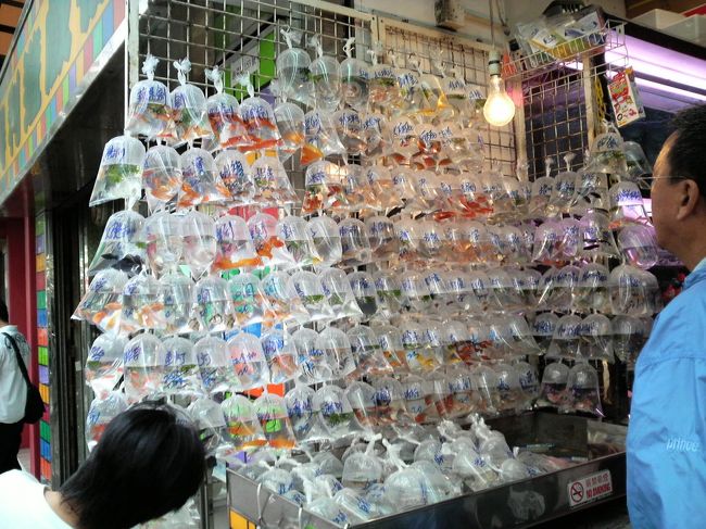 昼食後、再度北上開始。。<br />金魚マーケットは規模が大きくて面白い。。<br />やはり場所がせまいから、金魚がペット？？<br />風水関係でもあるらしい。