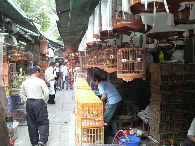 最後は隣の、鳥街？？へ。公園の一角なので<br />ちょっと狭い場所です。<br />これで、街縦断終了です。。。<br />