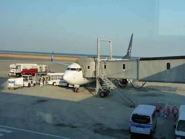 定刻1625に大分空港着