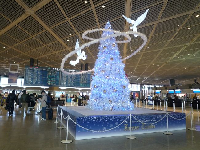 12月の成田空港出発ロビーにはキラキラツリー☆