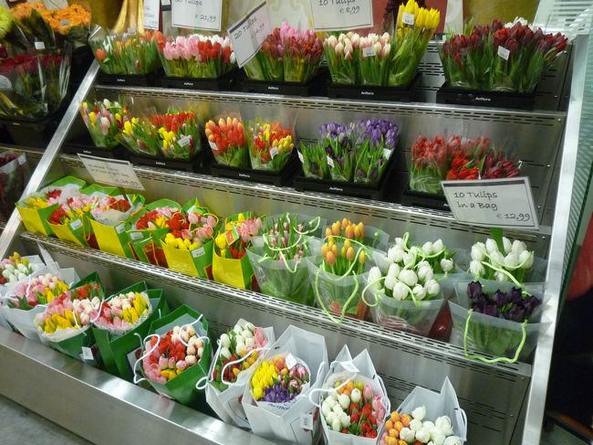 さすがオランダ。<br />カラフルなチューリップがたくさん！<br />so cute!!