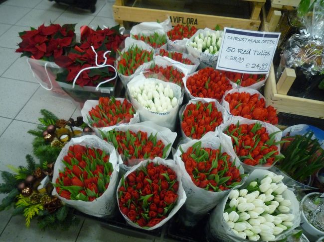 お花、球根、種がいっぱい。